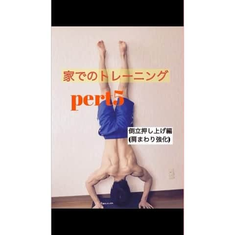 野々村笙吾のインスタグラム：「. . 【倒立押し上げ】 基本的なトレーニングですが、奥が深いトレーニングだと思います！ . 倒立の角度や頭の位置、手幅、スピードなどに変化をつけることで使う筋肉が変わります。 様々な部位の筋肉を使えるようにすることで体への負担も減り怪我予防に繋がります💪  バリエーションを増やし、どこの筋肉を使うかを意識しながら行ってみてください🙆  ポイント💡 ・肩が痛い人は背中の意識が大切 ・回数はできる範囲で ・胸が反らないように  #おうちトレーニング #家トレ #自重トレーニング #倒立 #倒立押し上げ #逆立ち #プッシュアップ #体操競技 #体操」