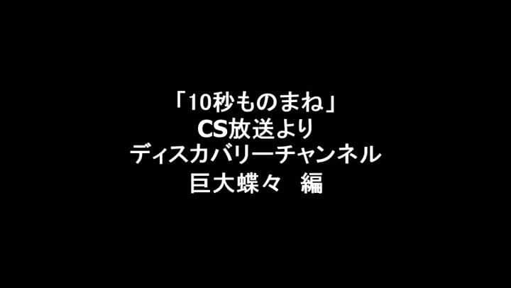 サモアンスガイのインスタグラム