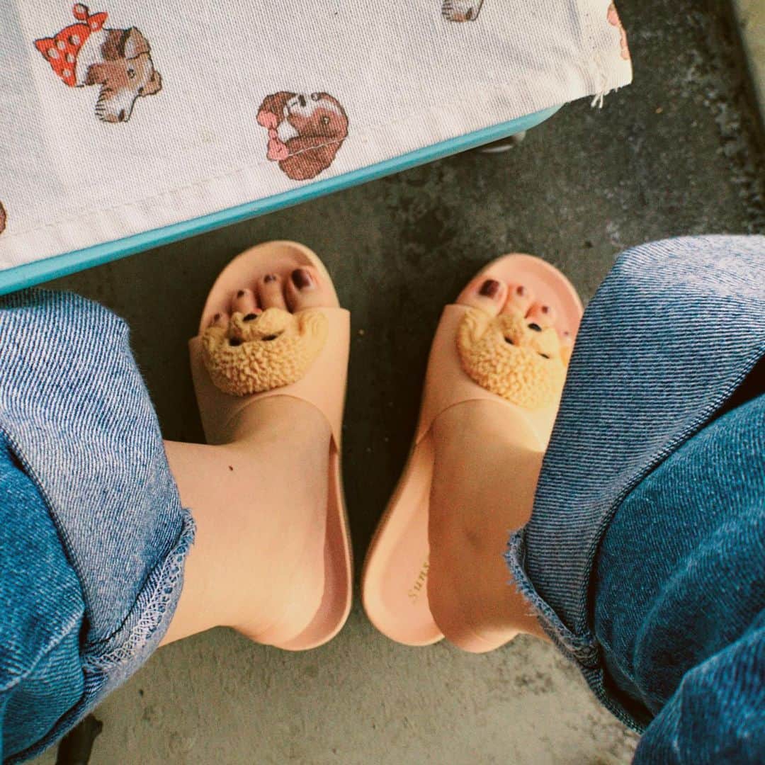 HONOKAのインスタグラム：「.〻  こないだベランダでのんびりしてた〜🐩🌷 みんなもお家時間楽しめてますか？？ 今は運動がてらお散歩中です🐩🐩」