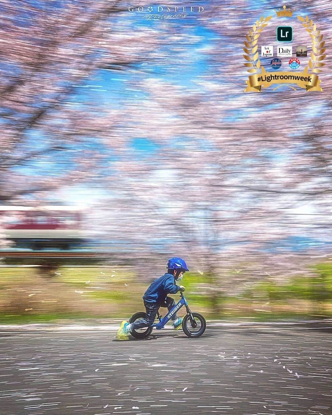 Only Japanese photographsさんのインスタグラム写真 - (Only Japanese photographsInstagram)「..﻿ ✨✨✨✨✨✨✨✨✨✨✨✨✨✨✨﻿ Adobe presents 「桜」フォトコン #Lightroomweek 📷﻿ 💻Lightroom × 5HUB 合同コラボレーション📷﻿ ✨✨✨✨✨✨✨✨✨✨✨✨✨✨✨﻿ .﻿ 🏆結果発表🏆﻿ .﻿ 🎉🎉🏆最優秀賞🏆🎉🎉﻿ Photo Artist : @aki_goodspeed  様﻿ ✨🎊Congratulations🎊✨﻿ ☆☆おめでとうございます☆☆﻿ .﻿ <選出コメント>﻿ ﻿. 作品に強烈なインパクトがあり、圧倒されました。レタッチもさることながら、男の子が懸命に操るSTRIDERの躍動感と桜吹雪。また、電車も上手く写っており、撮影者様の技術の高さと、春を感じさせるフレッシュで魅力満点の素晴らしい一枚です。﻿ ﻿. .﻿ .﻿ 【 Adobe 】﻿ 【 @art_of_japan 】﻿ 【 @daily_photo_japan 】﻿ 【 @hubsplanet 】﻿ 【 @japan_hirogaridoumei 】﻿ 【 @lovers_nippon 】﻿ ﻿. メンバー一同✨﻿ .﻿ ※各Hub賞の発表も同時に行われています🏆✨﻿ 是非とも各Hubセレクトの素敵な作品をご覧ください✨﻿ .」5月10日 19時00分 - lovers_nippon