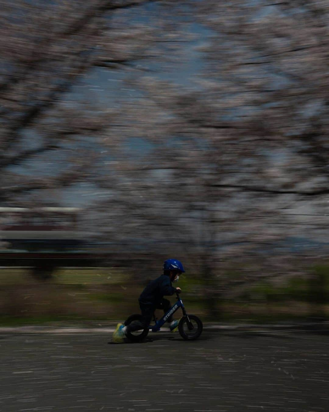 Only Japanese photographsさんのインスタグラム写真 - (Only Japanese photographsInstagram)「..﻿ ✨✨✨✨✨✨✨✨✨✨✨✨✨✨✨﻿ Adobe presents 「桜」フォトコン #Lightroomweek 📷﻿ 💻Lightroom × 5HUB 合同コラボレーション📷﻿ ✨✨✨✨✨✨✨✨✨✨✨✨✨✨✨﻿ .﻿ 🏆結果発表🏆﻿ .﻿ 🎉🎉🏆最優秀賞🏆🎉🎉﻿ Photo Artist : @aki_goodspeed  様﻿ ✨🎊Congratulations🎊✨﻿ ☆☆おめでとうございます☆☆﻿ .﻿ <選出コメント>﻿ ﻿. 作品に強烈なインパクトがあり、圧倒されました。レタッチもさることながら、男の子が懸命に操るSTRIDERの躍動感と桜吹雪。また、電車も上手く写っており、撮影者様の技術の高さと、春を感じさせるフレッシュで魅力満点の素晴らしい一枚です。﻿ ﻿. .﻿ .﻿ 【 Adobe 】﻿ 【 @art_of_japan 】﻿ 【 @daily_photo_japan 】﻿ 【 @hubsplanet 】﻿ 【 @japan_hirogaridoumei 】﻿ 【 @lovers_nippon 】﻿ ﻿. メンバー一同✨﻿ .﻿ ※各Hub賞の発表も同時に行われています🏆✨﻿ 是非とも各Hubセレクトの素敵な作品をご覧ください✨﻿ .」5月10日 19時00分 - lovers_nippon