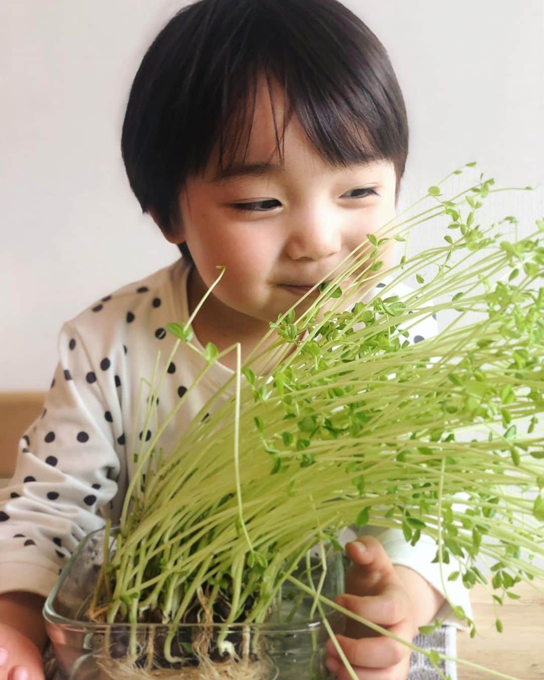 石塚錬のインスタグラム