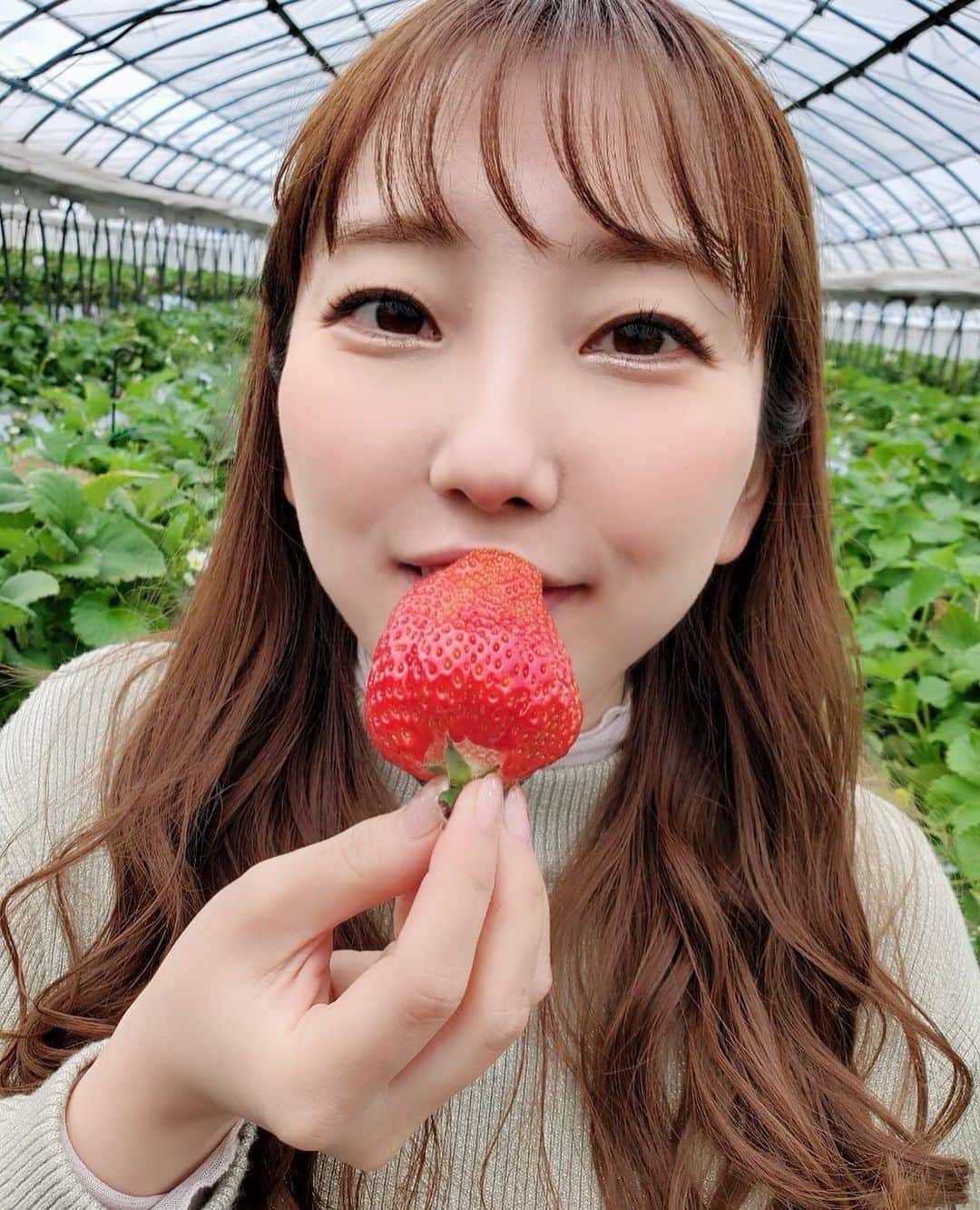 木下望のインスタグラム：「・ ・ 前、イチゴ狩りした時の写真🍓 フルーツを毎日たらふく食べたい🍃 ・ ・ #イチゴ #苺 #イチゴ狩り #イチゴ狩り🍓 #苺狩り #苺狩り🍓 #フルーツ #スタマリ」