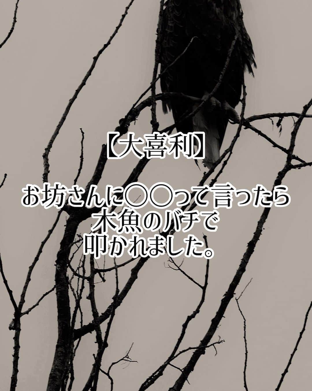 ノリのインスタグラム