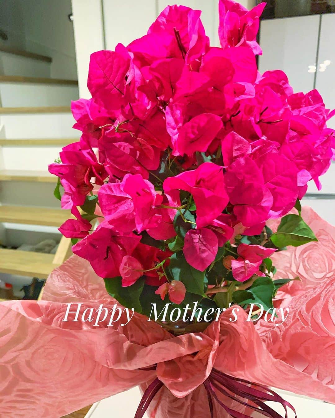 西内ひろさんのインスタグラム写真 - (西内ひろInstagram)「母へ 私の大好きなブーゲンビリアを送りました💕 いつもありがとう😊 #happymothersday  #ブーゲンビリア #フラワー」5月10日 20時25分 - 0214hiro