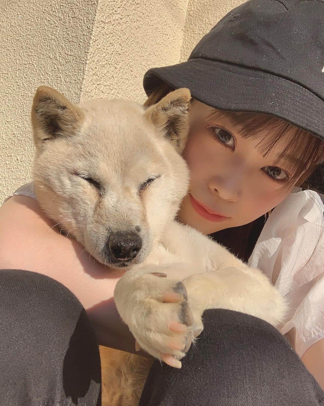 吉川七瀬さんのインスタグラム写真 - (吉川七瀬Instagram)「じゅげむ16歳柴犬 いつもありがとう🐕 . 眩しくて目開いてない。笑 #柴犬」5月10日 20時19分 - yoshikawa_nanase