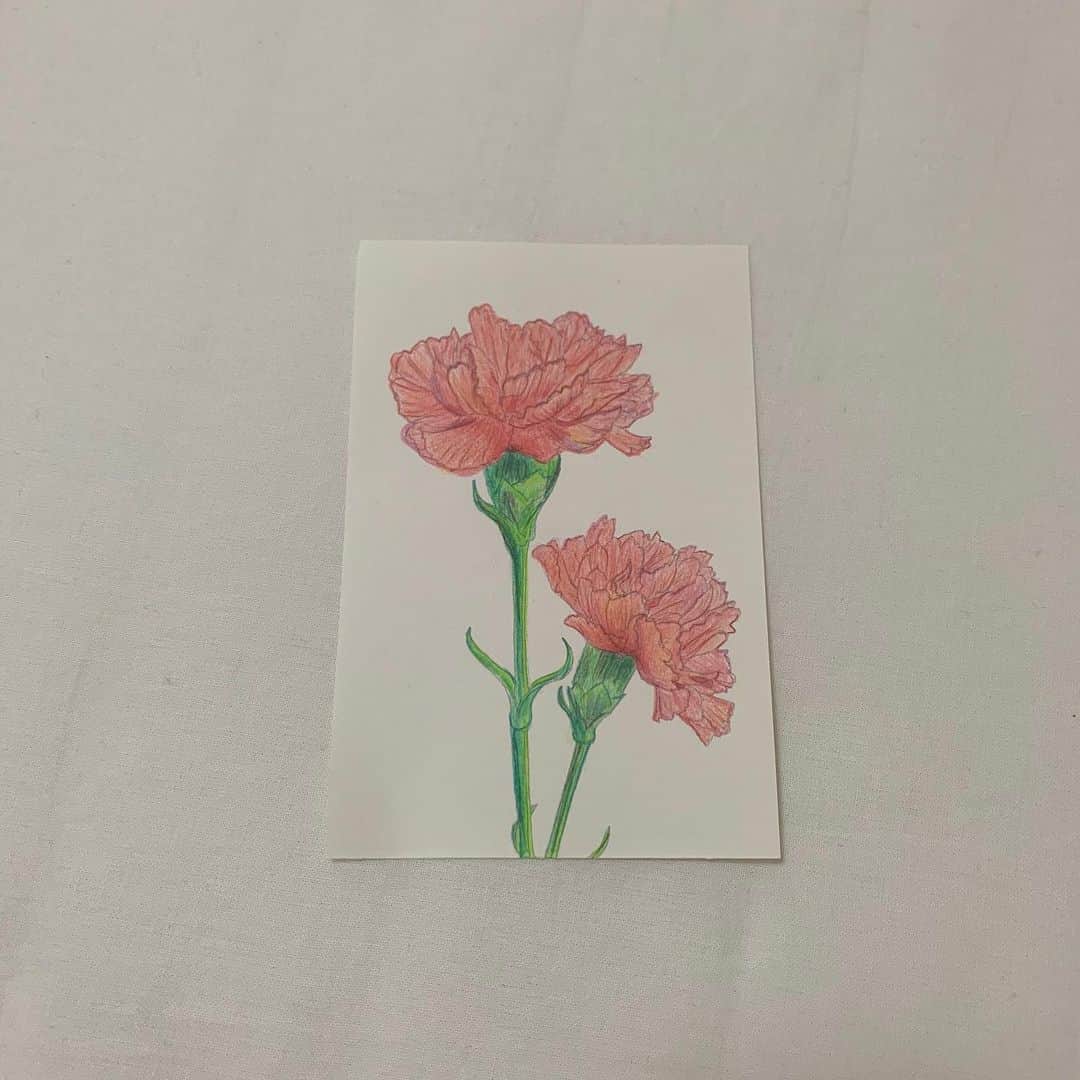 志田彩良のインスタグラム：「・ 今日は母の日。 という事で、最近ハマっている塗り絵で カーネーションを塗りました。  母から、お花は大丈夫だよ。と毎年言われるので 母の日は感謝の気持ちを込めてご飯を作るのですが 今年は母の好きなパクチーを使った パクチー鍋と、本物のお花の代わりに 花束サラダ、そしてずっと食べてみたかった #mrcheesecake をプレゼントしました。 いつもありがとう💐」