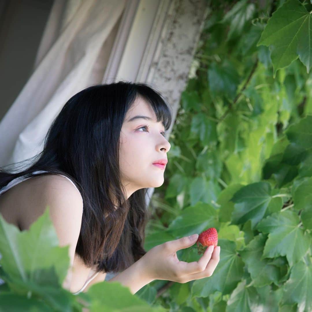 いちご同盟のインスタグラム