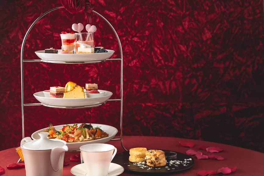 ステラートのグルメインスタ