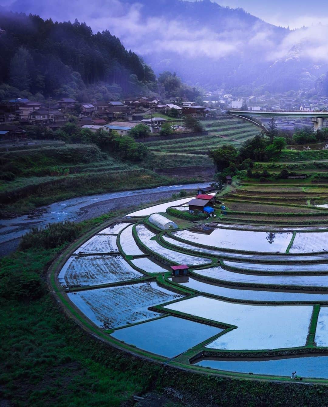 kyoko_zzzのインスタグラム：「Rice planting island  いつかの #あらぎ島 #landscapephotography #tv_foggy #visitjapanjp」