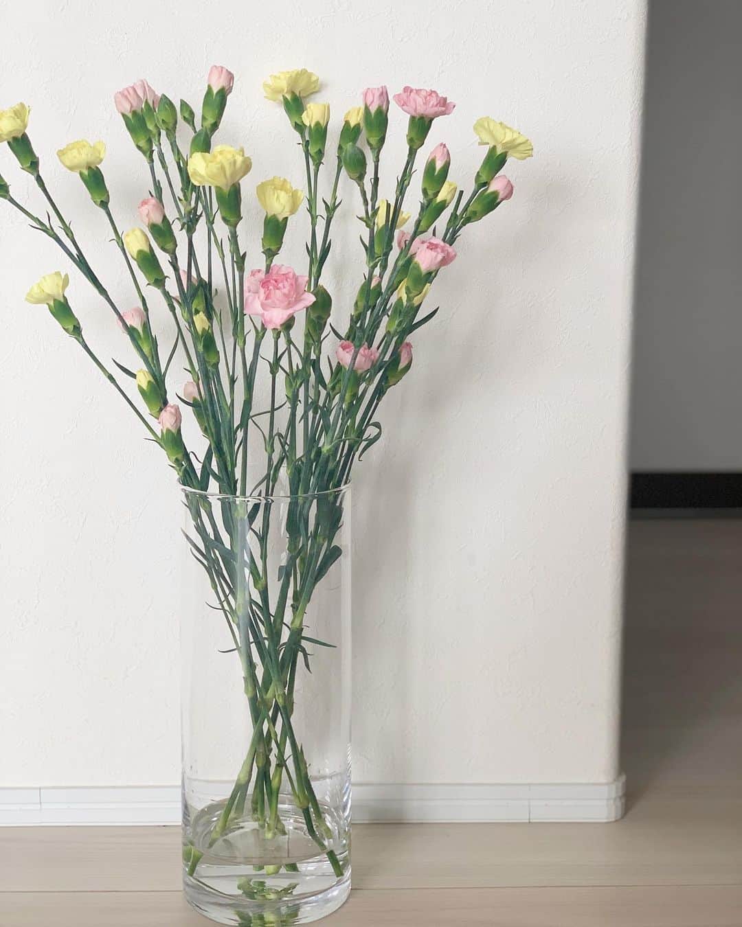 ryuu79hinaのインスタグラム：「母の日…🌼 ・ ・ 2人からのカーネーション りゅうちゃんが…黄色 ひなちゃんが…ピンク 自分達で選んだみたいで🥺 淡い色合いで可愛い ・ ・ ありがとう🧡 ・ ・ ━━━━━━━━━━━━━━━ #母の日#5月10日#ロカリ#カーネーション#花のある暮らし#はなのあるくらし#花のある生活#記録#ありがとう#좋아요#좋아요환영#인스타그램#일상#일상스타그램#데일리그램#instagood#シンプルな暮らし#シンプルな生活」