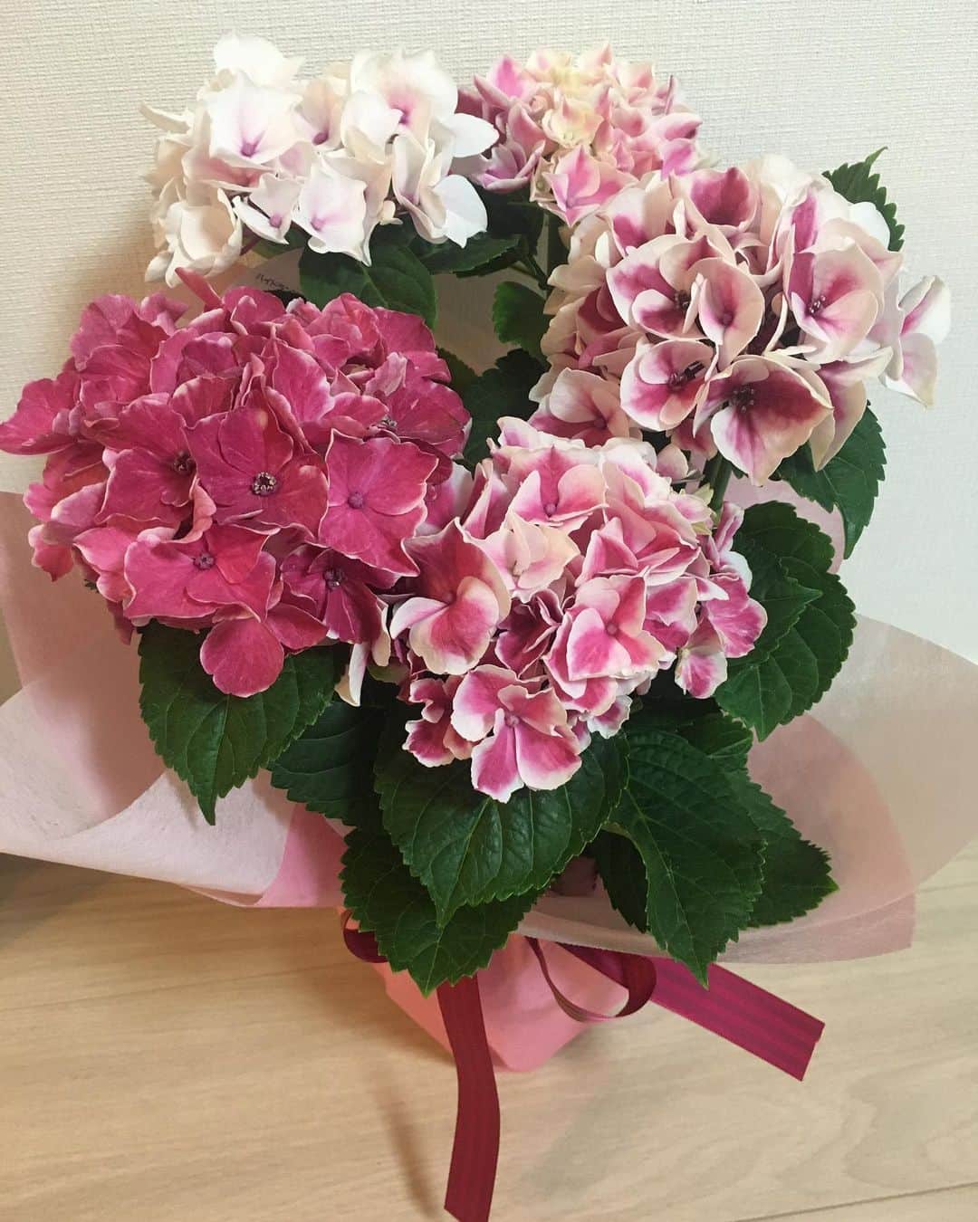 のインスタグラム：「母の日♪  #母の日 #mothersday #母の月 #紫陽花 #ınstagood」