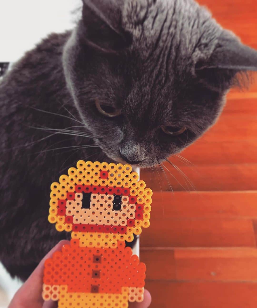 チキン南蛮カレーのルウ王子のグルメインスタ