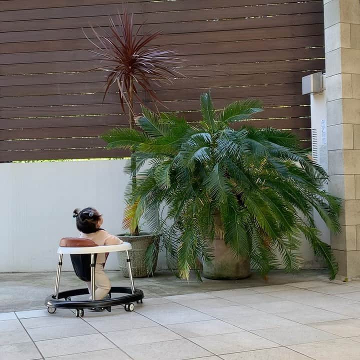 nanako itoのインスタグラム：「最近のお気に入りの遊び。 . 歩行器👶🏻」