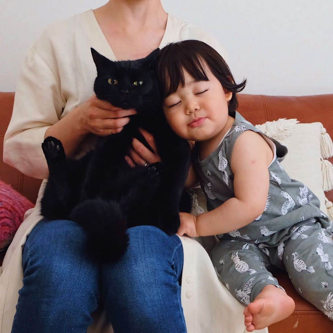 ギネス & ピムスさんのインスタグラム写真 - (ギネス & ピムスInstagram)「10/05/2020 Happy Sunday! ・ Happy Mother’s Day! I’m happy to be your mother🐈🐈👦🏻 Enjoy the rest of your weekend everyone! #stayhome ・ ・ 今日は母の日。 自分の母親に感謝しつつ、 自分もこの子達の母親になれた事を 幸せに感じる日😌 これからも 三兄弟仲良くすくすく育っておくれ。 今日は暑かったので タンクトップ凪ねこ。笑 ロンドンではなかなか出番が無かったので嬉しい😂 先日凪ねこの添い寝をしていて、 なかなか寝ないので寝たフリをして 薄目を開けてみていたら、 私にもこの顔を埋めるやつを やって来た😂 普通に抱きつくのとはちょっと違う 体重をあまりかけないホワっとした感じのやつで、 ギネピム（特にピム丸。笑）の気分を味わうことが出来ました。笑 それでは また来週もよろしくお願いします♬ ・ ・ #ギネスくん　 #ピムスくん #ギネピムと凪くん  #1yearold #1歳 #1歳5ヶ月 #17monthsold  #babyboy #男の子ベビー #赤ちゃんのいる生活 #赤ちゃんのいる暮らし #赤ちゃんと猫 #猫と赤ちゃん#おうち時間」5月10日 22時34分 - rina_takei