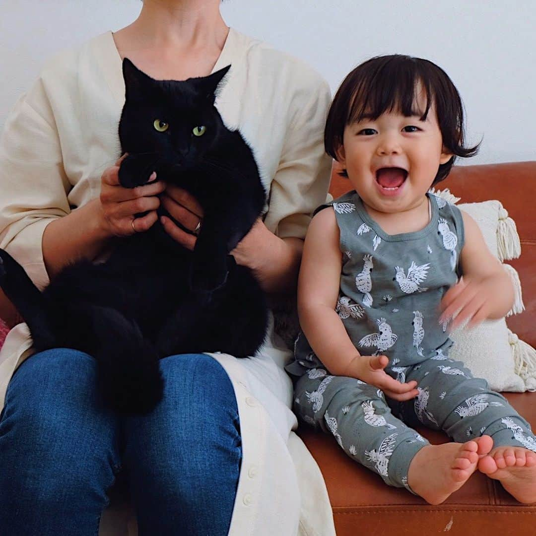 ギネス & ピムスさんのインスタグラム写真 - (ギネス & ピムスInstagram)「10/05/2020 Happy Sunday! ・ Happy Mother’s Day! I’m happy to be your mother🐈🐈👦🏻 Enjoy the rest of your weekend everyone! #stayhome ・ ・ 今日は母の日。 自分の母親に感謝しつつ、 自分もこの子達の母親になれた事を 幸せに感じる日😌 これからも 三兄弟仲良くすくすく育っておくれ。 今日は暑かったので タンクトップ凪ねこ。笑 ロンドンではなかなか出番が無かったので嬉しい😂 先日凪ねこの添い寝をしていて、 なかなか寝ないので寝たフリをして 薄目を開けてみていたら、 私にもこの顔を埋めるやつを やって来た😂 普通に抱きつくのとはちょっと違う 体重をあまりかけないホワっとした感じのやつで、 ギネピム（特にピム丸。笑）の気分を味わうことが出来ました。笑 それでは また来週もよろしくお願いします♬ ・ ・ #ギネスくん　 #ピムスくん #ギネピムと凪くん  #1yearold #1歳 #1歳5ヶ月 #17monthsold  #babyboy #男の子ベビー #赤ちゃんのいる生活 #赤ちゃんのいる暮らし #赤ちゃんと猫 #猫と赤ちゃん#おうち時間」5月10日 22時34分 - rina_takei