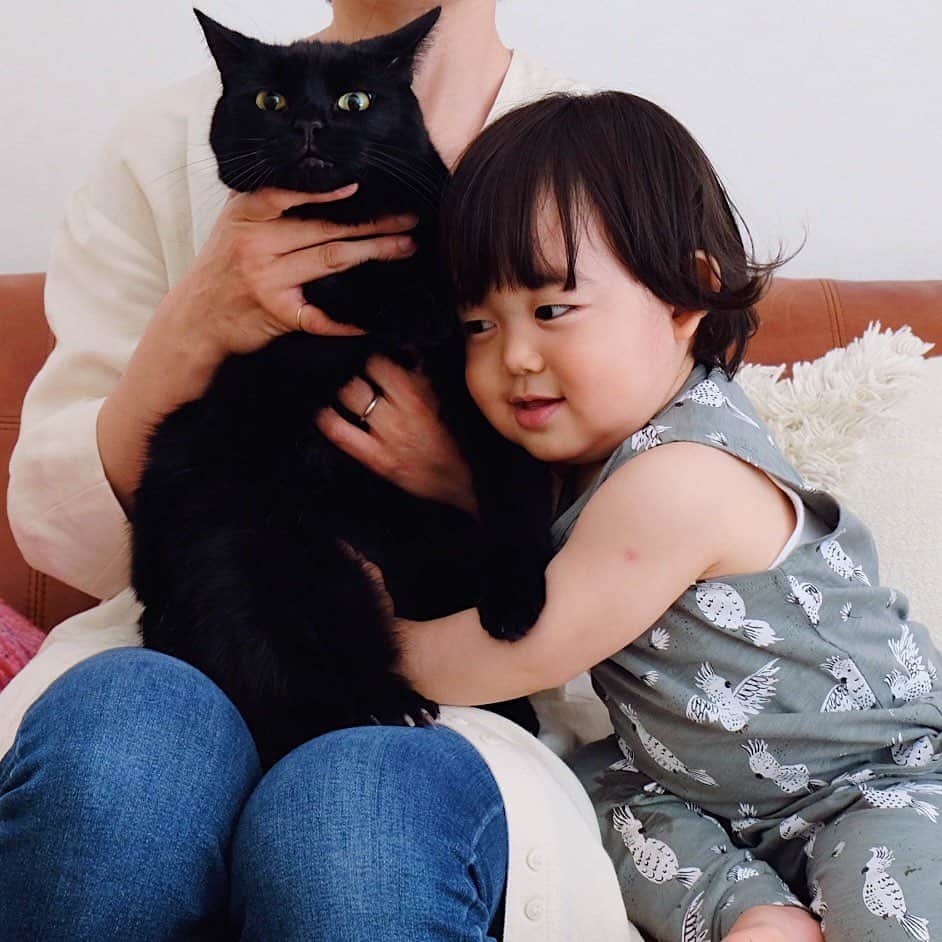 ギネス & ピムスさんのインスタグラム写真 - (ギネス & ピムスInstagram)「10/05/2020 Happy Sunday! ・ Happy Mother’s Day! I’m happy to be your mother🐈🐈👦🏻 Enjoy the rest of your weekend everyone! #stayhome ・ ・ 今日は母の日。 自分の母親に感謝しつつ、 自分もこの子達の母親になれた事を 幸せに感じる日😌 これからも 三兄弟仲良くすくすく育っておくれ。 今日は暑かったので タンクトップ凪ねこ。笑 ロンドンではなかなか出番が無かったので嬉しい😂 先日凪ねこの添い寝をしていて、 なかなか寝ないので寝たフリをして 薄目を開けてみていたら、 私にもこの顔を埋めるやつを やって来た😂 普通に抱きつくのとはちょっと違う 体重をあまりかけないホワっとした感じのやつで、 ギネピム（特にピム丸。笑）の気分を味わうことが出来ました。笑 それでは また来週もよろしくお願いします♬ ・ ・ #ギネスくん　 #ピムスくん #ギネピムと凪くん  #1yearold #1歳 #1歳5ヶ月 #17monthsold  #babyboy #男の子ベビー #赤ちゃんのいる生活 #赤ちゃんのいる暮らし #赤ちゃんと猫 #猫と赤ちゃん#おうち時間」5月10日 22時34分 - rina_takei