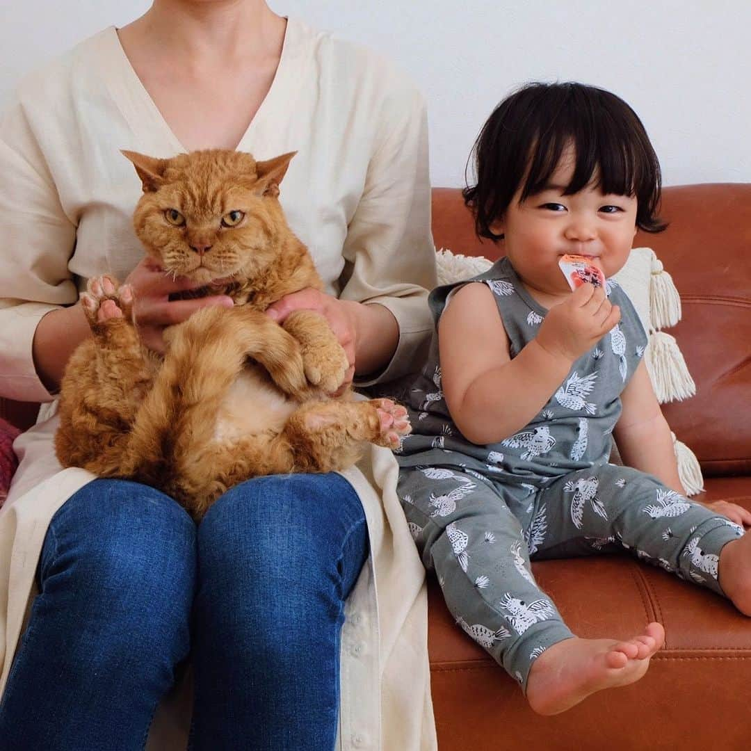 ギネス & ピムスさんのインスタグラム写真 - (ギネス & ピムスInstagram)「10/05/2020 Happy Sunday! ・ Happy Mother’s Day! I’m happy to be your mother🐈🐈👦🏻 Enjoy the rest of your weekend everyone! #stayhome ・ ・ 今日は母の日。 自分の母親に感謝しつつ、 自分もこの子達の母親になれた事を 幸せに感じる日😌 これからも 三兄弟仲良くすくすく育っておくれ。 今日は暑かったので タンクトップ凪ねこ。笑 ロンドンではなかなか出番が無かったので嬉しい😂 先日凪ねこの添い寝をしていて、 なかなか寝ないので寝たフリをして 薄目を開けてみていたら、 私にもこの顔を埋めるやつを やって来た😂 普通に抱きつくのとはちょっと違う 体重をあまりかけないホワっとした感じのやつで、 ギネピム（特にピム丸。笑）の気分を味わうことが出来ました。笑 それでは また来週もよろしくお願いします♬ ・ ・ #ギネスくん　 #ピムスくん #ギネピムと凪くん  #1yearold #1歳 #1歳5ヶ月 #17monthsold  #babyboy #男の子ベビー #赤ちゃんのいる生活 #赤ちゃんのいる暮らし #赤ちゃんと猫 #猫と赤ちゃん#おうち時間」5月10日 22時34分 - rina_takei