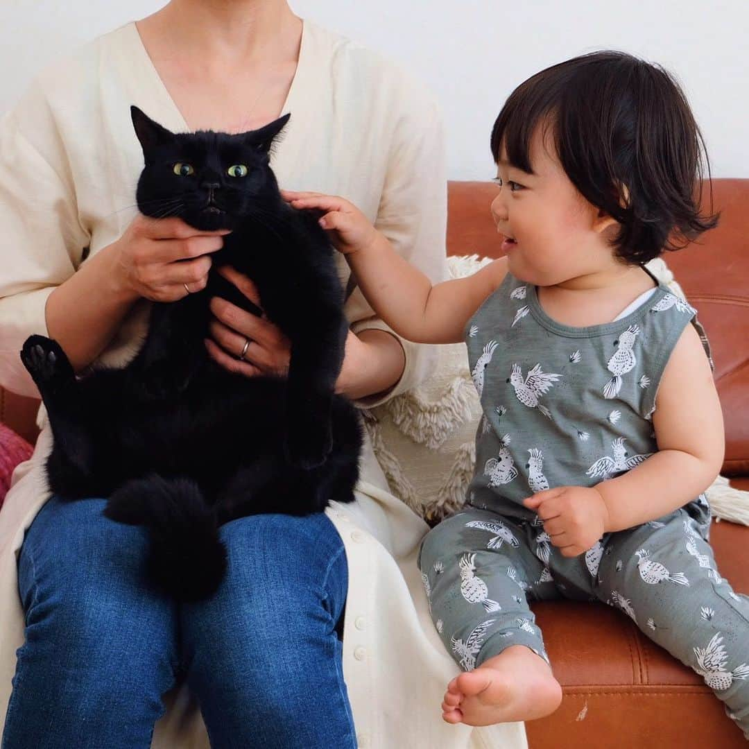 ギネス & ピムスさんのインスタグラム写真 - (ギネス & ピムスInstagram)「10/05/2020 Happy Sunday! ・ Happy Mother’s Day! I’m happy to be your mother🐈🐈👦🏻 Enjoy the rest of your weekend everyone! #stayhome ・ ・ 今日は母の日。 自分の母親に感謝しつつ、 自分もこの子達の母親になれた事を 幸せに感じる日😌 これからも 三兄弟仲良くすくすく育っておくれ。 今日は暑かったので タンクトップ凪ねこ。笑 ロンドンではなかなか出番が無かったので嬉しい😂 先日凪ねこの添い寝をしていて、 なかなか寝ないので寝たフリをして 薄目を開けてみていたら、 私にもこの顔を埋めるやつを やって来た😂 普通に抱きつくのとはちょっと違う 体重をあまりかけないホワっとした感じのやつで、 ギネピム（特にピム丸。笑）の気分を味わうことが出来ました。笑 それでは また来週もよろしくお願いします♬ ・ ・ #ギネスくん　 #ピムスくん #ギネピムと凪くん  #1yearold #1歳 #1歳5ヶ月 #17monthsold  #babyboy #男の子ベビー #赤ちゃんのいる生活 #赤ちゃんのいる暮らし #赤ちゃんと猫 #猫と赤ちゃん#おうち時間」5月10日 22時34分 - rina_takei