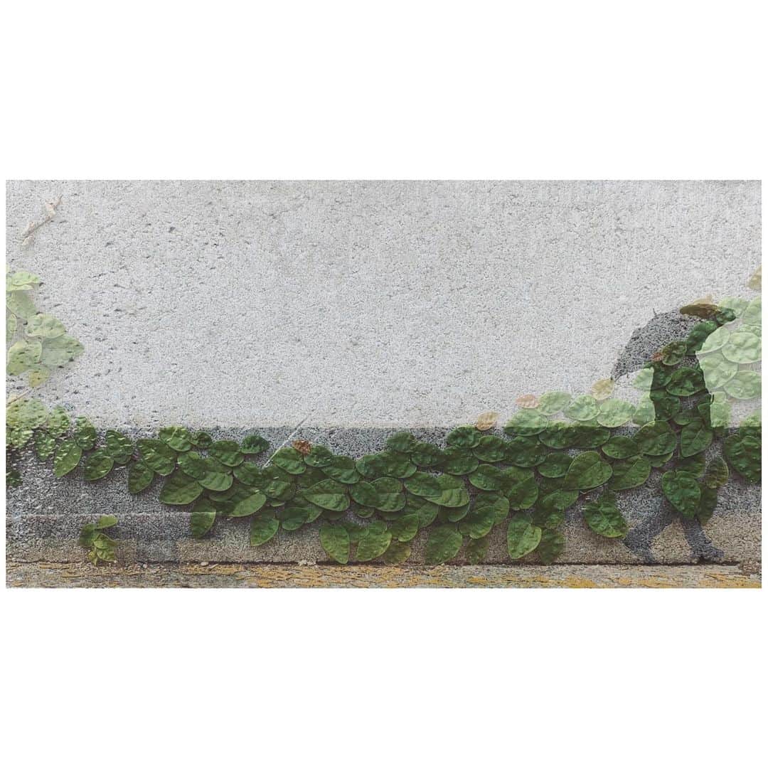 spatulaのインスタグラム：「・ 流れる様にただ過ぎ去るだけ…🌿☂️ ・ ・ Just keep moving forward！ ・ ・ (￣^￣)ゞビゴッ★」