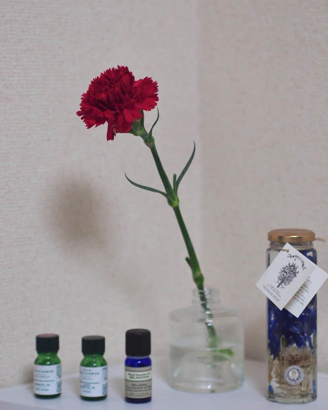 AO のインスタグラム：「🥀 今日スーパーいったら 女性のお客様にお配りしておりますて カーネーションもらってしまった！ 母の日ですな いつもありがとうだね👵🏻 おばあちゃんになってもお母さんはお母さん #カーネーション#母の日#花#ありがとう#お母さん#おばあちゃん#olympus#olympuspen#camera#オリンパス#ミラーレス一眼」