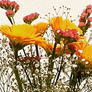 阿知波妃皇のインスタグラム：「お母さんお誕生日おめでとう🌼  &HAPPY MOTHERS DAY」