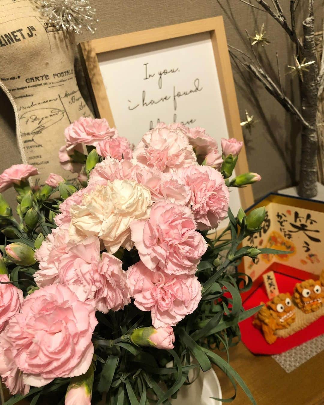 チズさんのインスタグラム写真 - (チズInstagram)「赤のカーネーション🌹より ピンクの方が50円💰安かった😝 なんでだろう🤔❓❓ #母の日 #カーネーション 🎁 #mothersday 💕 #今年は母の月 なんだって🌱 #いつか犬産みたい 笑  stayhome…❤︎🏠 #おうち時間  #Mダックス#ダックス#ミニチュアダックス #親父犬#シニア犬#ミニチュアダックスフンド #ミニチュアダックスクリーム#短足部 #短足犬#カニンヘンダックス #ダックス14歳#カニンヘンダックスフンド#犬は家族#犬のいる生活#シニアライフ#インスタでわんこみるのが日課 ♡♡」5月11日 2時36分 - sqi.chizu