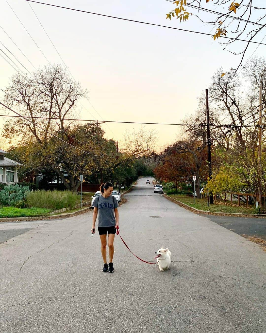 Winston the White Corgiさんのインスタグラム写真 - (Winston the White CorgiInstagram)「To the only one I’ll dawdle for - #HappyMothersDay ❤️」5月11日 5時34分 - winstonthewhitecorgi