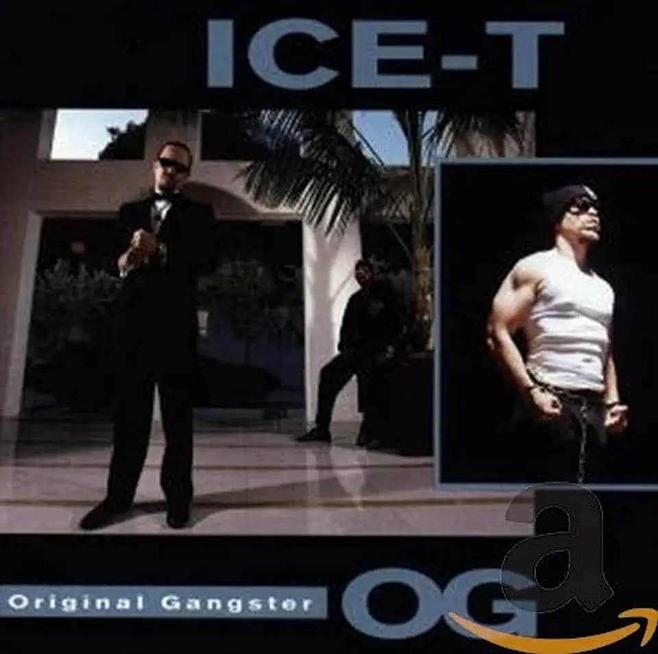 中村松江さんのインスタグラム写真 - (中村松江Instagram)「今日の一曲はIce-Tで『New Jack Hustler (Nino's Theme)』です✨ アルバム「O.G. Original Gangster」と映画のサントラ盤「New Jack City (soundtrack) 」に収録。 アイス・Tが犯罪者ではなく何と刑事役で出演している映画「ニュー・ジャック・シティ」の主題歌です✨ 彼のラップは本当に歯切れが良く、聴いていて気持ちいいですね👍 (№249) #歌舞伎　#中村松江 #ice-t #newjackhustler(nino'stheme) #o.g.originalgangster #newjackcity(soundtrack)」5月11日 7時32分 - matsue_nakamuraofficial