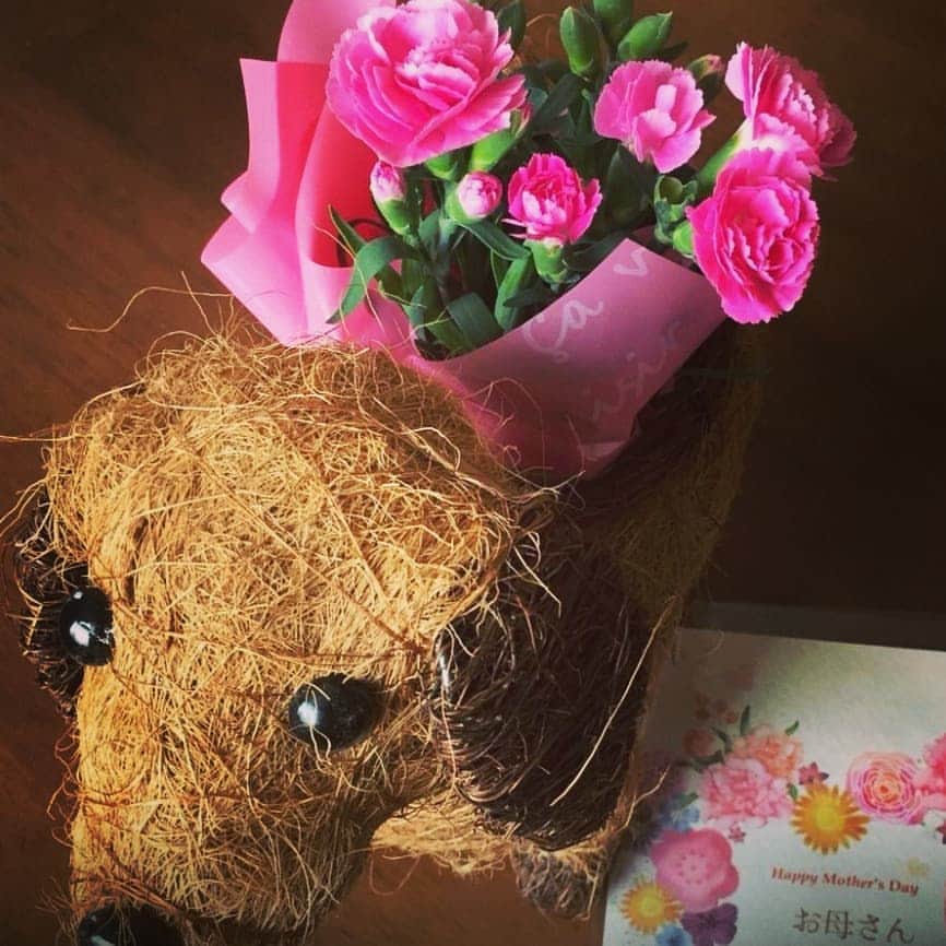 松本隆博のインスタグラム：「。 みなおは～ おかんにはこれ。 届いたと連絡あったよ (^-^) 有難い事に仕事依頼が バンバン来出した、なんか 気遣ってくれてるのも わかるし、、泣きそう。 (ᐡ o̴̶̷̤ ﻌ o̴̶̷̤ ᐡ)  さ、今日はラジオと、 テレワークにて取材やら 動き出しますよ(^_^) ジョギングは夕方にします ～人生遊歩道～」
