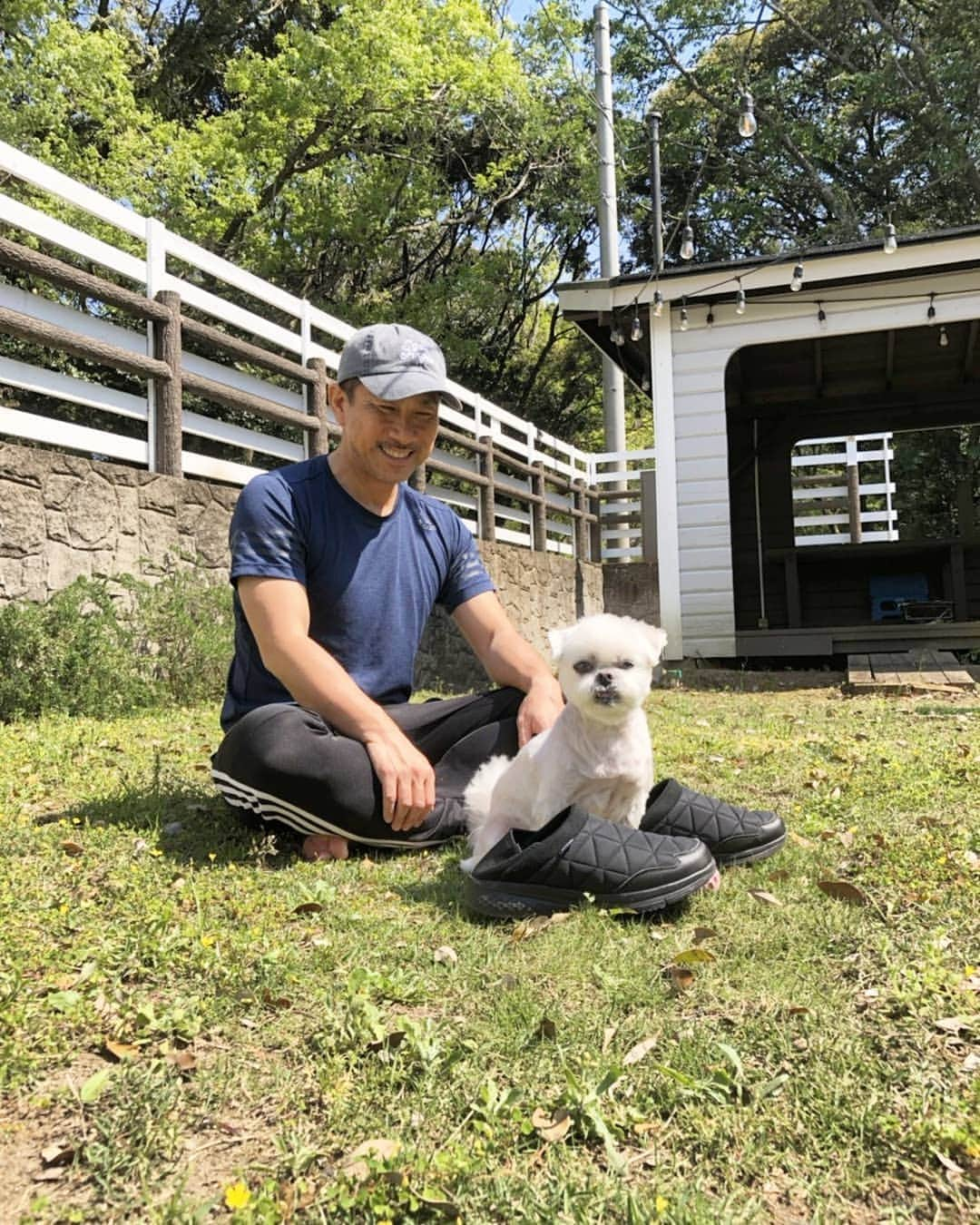 前園真聖さんのインスタグラム写真 - (前園真聖Instagram)「いいお天気です🎶 #アンジェロ #ミックス犬 #快晴 #前園真聖」5月11日 9時06分 - maezono_masakiyo