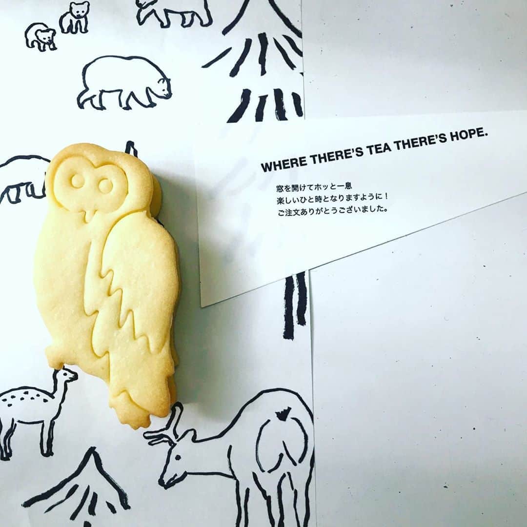 光野桃のインスタグラム