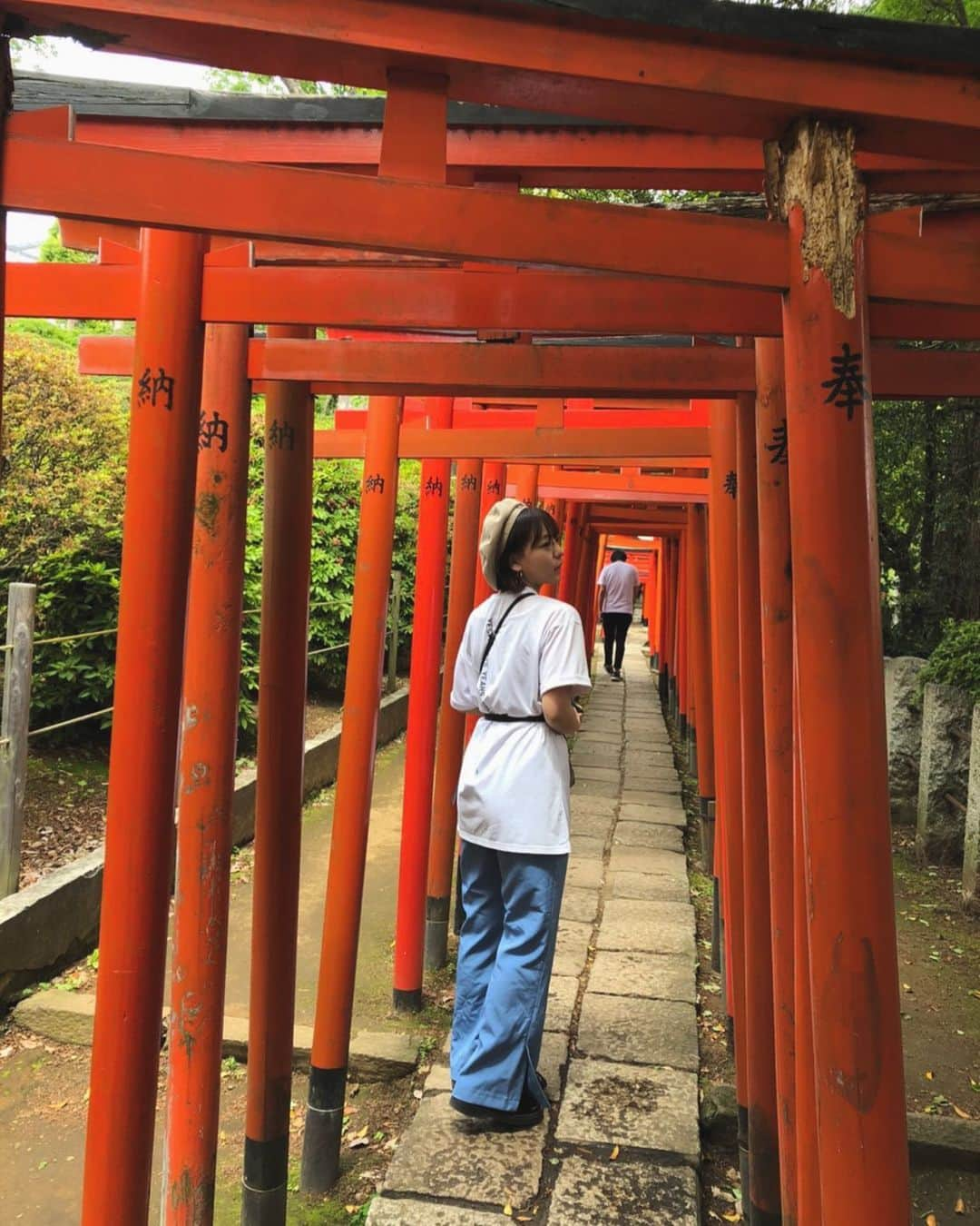 東城希亜さんのインスタグラム写真 - (東城希亜Instagram)「. . . 身長高く見える . . #根津神社 #つつじ #見る予定が #無かった #この後 #すぐ #マスク #したよ #身長 #高く見える #実際 #は #150cm #コーデ #wego #下の #ズボン #いいね返しは絶対 #いいね返し #いいねした人で気になった人フォロー #被写体モデル #雰囲気好きな人いいね #ljk #jk3 #のあ」5月11日 20時14分 - ichi_noa