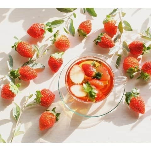 のインスタグラム：「紅茶にフルーツを浮かべてフレッシュな果実感を楽しむフルーツティー🍓✨ #ヴィレッジヴァンガード #ヴィレヴァン #イチゴ」