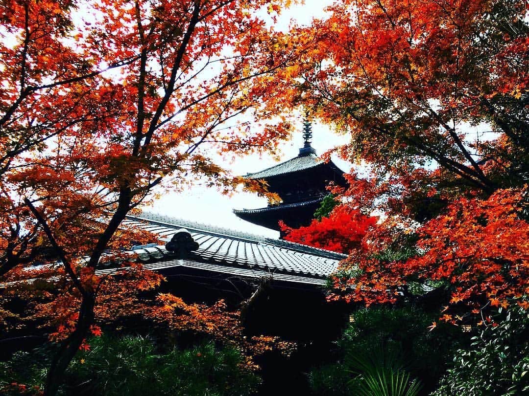 THE SODOH OFFICIALのグルメインスタ