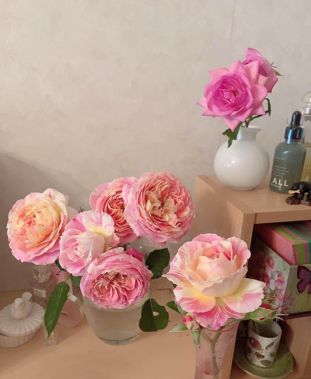 沢瀉美緒さんのインスタグラム写真 - (沢瀉美緒Instagram)「※ Monday with roses from mum’s garden 💛 . 母が大事に育ててるバラを 貰ってきて飾ってます✨ . お部屋がパーッと明るくなるし 何よりいい香り💛 . 癒されます✨ . . #rose #rosegarden #バラ #ローズ #flowers #お花のある暮らし #お花」5月11日 13時26分 - mio_omodaka