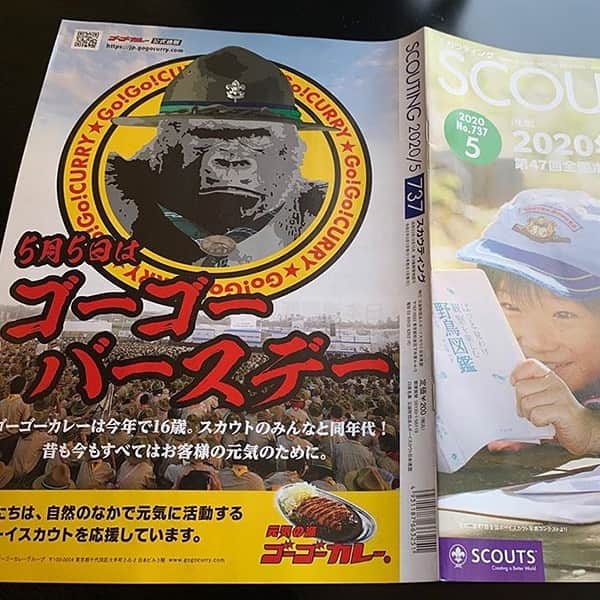 ゴーゴーカレーのインスタグラム