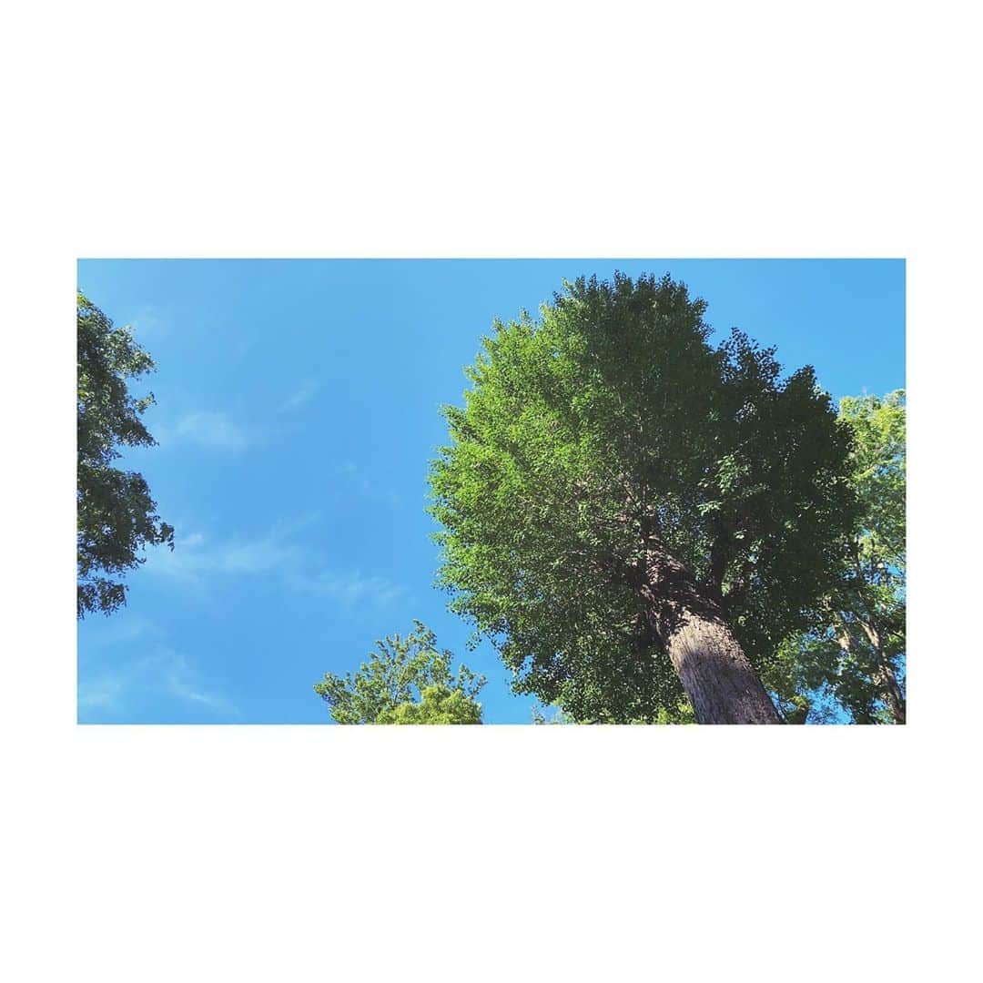 福原愛さんのインスタグラム写真 - (福原愛Instagram)「每次看到樹 或是看到天空 我總是有一種想法  我知道樹是綠色 天空是藍色 可是誰都不知道我看到的這個樹、這個天空 到底是哪種綠色、哪種藍色  所以常常覺得 不要太自我 不要太用自己的顏色去定義每一個人  #舊照片 #前に撮った写真」5月11日 13時37分 - aifukuhara9113