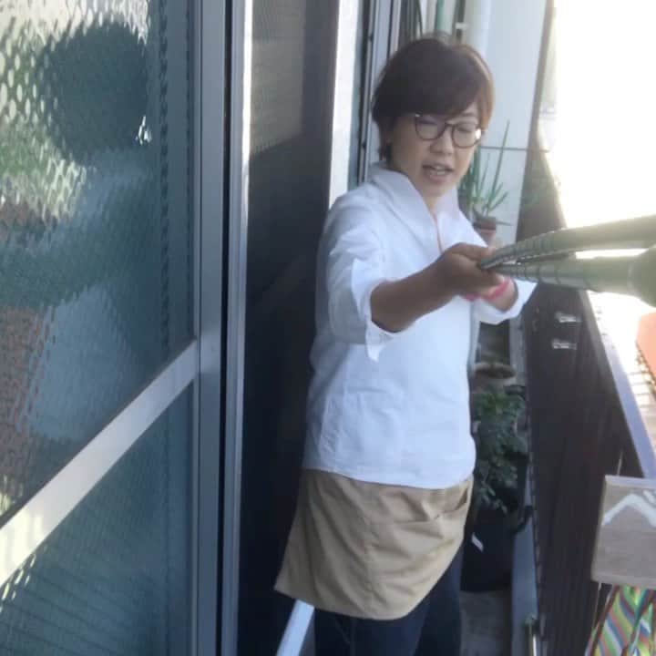 小谷あゆみのインスタグラム：「ベランダ菜園YouTubeアップしました⤴️⤴️ 昨夜からチャンネル登録7人増えました！403人の皆様ありがとうございます😊 しかし視聴したのは77人〜 すくなっ！ ロケ・編集に3日もかかったんですよぅ〜 ベランダ菜園を楽しもうというテーマですが、はっきり言ってわたしは野菜づくりがヘタだということがわかりました(￣▽￣) 日本一ヘタな野菜作り動画を見ても人はなんの得にもなりません。 しかしエンタメのズッコケやさい芸人のベランダ劇場～と思エベ～！ そんなニッチなマーケットを目指します！ これ1分バージョン！ とりあえずチラ見してね。 興味をあったら、＃続きをYouTubeで見てね！ →＃ステイホームベランダ菜園に新しい生活様式を取り入れよう！ ＃これ見てね→https://youtu.be/MFRkZNH7zZg @YouTube  #ベランダ菜園 #野菜つくろう #家庭菜園 #やさい芸人のオンライン劇場 #ベランダが舞台です #ediblecity  #cityfarm  #cityfarmhouse  #urbanagriculture  #東京農業 #都市農業 #ベジアナ」