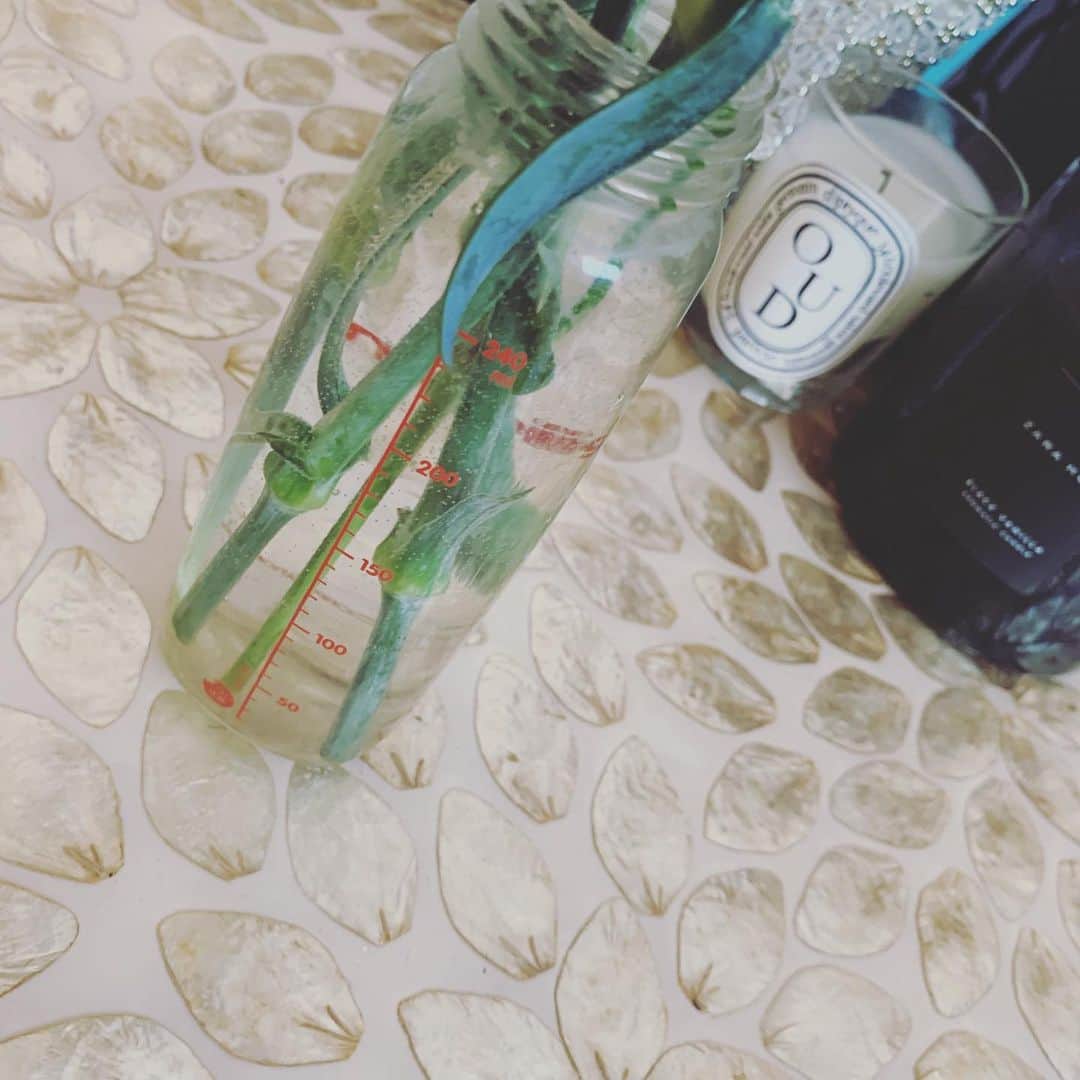 LiLyさんのインスタグラム写真 - (LiLyInstagram)「頂いたカーネーションを #哺乳瓶 にいけました🍼  思い出を 花瓶利用🙋‍♀️ 事務所に お花を運んで 仕事する予定が、 ついてきた🐶👧w  #花瓶　#花のある暮らし」5月11日 14時50分 - lilylilylilycom