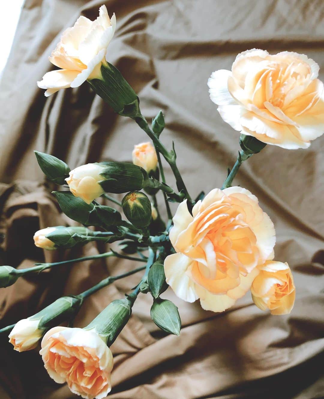 石橋奈美さんのインスタグラム写真 - (石橋奈美Instagram)「Happy Mother's Day .  昨日 娘と花屋へ。 娘さん、自分でお花を買うのは初めて。 . 最初に行った花屋が高めだったのか 「無理無理、無理だわ。何ここ世界一高い花屋⁉︎」と。 . 何軒か一緒に回って、黄色いカーネーションをくれました。 一生懸命探してくれる姿が可愛かったです。 ありがとう  #happymothersday  #ありがとう #カーネーション」5月11日 14時56分 - ishibashi.nami