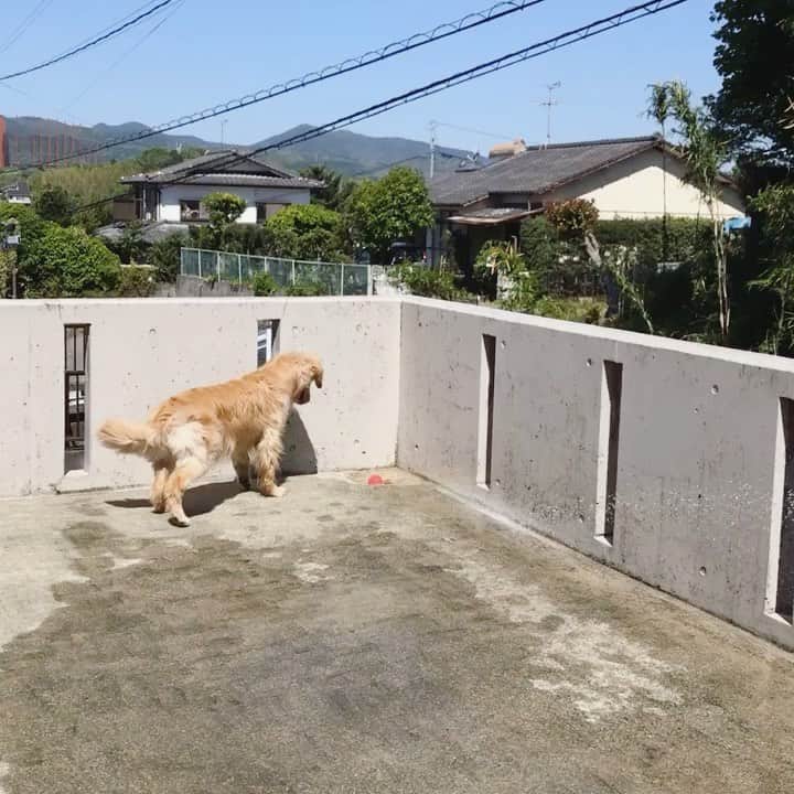 ikumiのインスタグラム