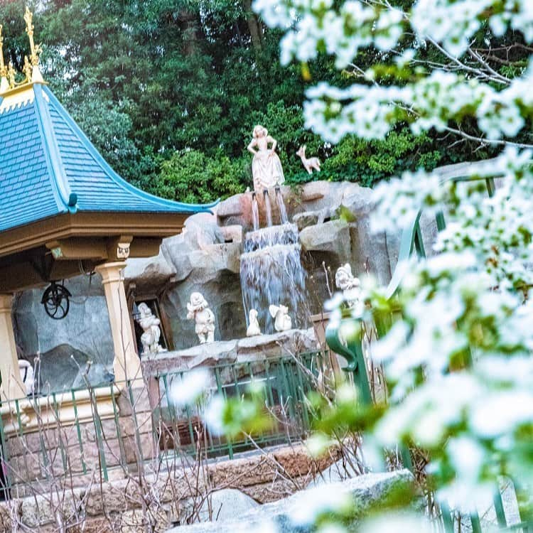 東京ディズニーリゾートさんのインスタグラム写真 - (東京ディズニーリゾートInstagram)「Beautiful place to sing a song. 歌声が聞こえてきそう♪ #snowwhitegrotto #snowwhitewishingwell #fantasyland #tokyodisneyland #tokyodisneyresort #snowwhite #sevendwarfs #白雪姫のグロット #白雪姫の願いの井戸 #ファンタジーランド #東京ディズニーランド #東京ディズニーリゾート #白雪姫 #七人のこびと」5月11日 15時06分 - tokyodisneyresort_official