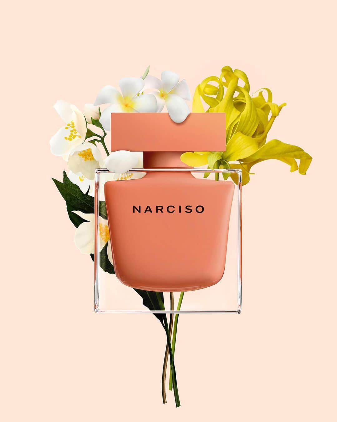 ナルシソロドリゲスさんのインスタグラム写真 - (ナルシソロドリゲスInstagram)「NARCISO eau de parfum ambrée embraces the art of seduction: the warm heart of musc is enveloped by florals tiaré, ylang-ylang and orange blossom and illuminated by an aura of rich amber and vanilla absolue with notes of cashmeran. #NARCISO #myambree #narcisoambree #narcisorodriguezparfums #parfum #fragrances」5月11日 20時59分 - narciso_rodriguez