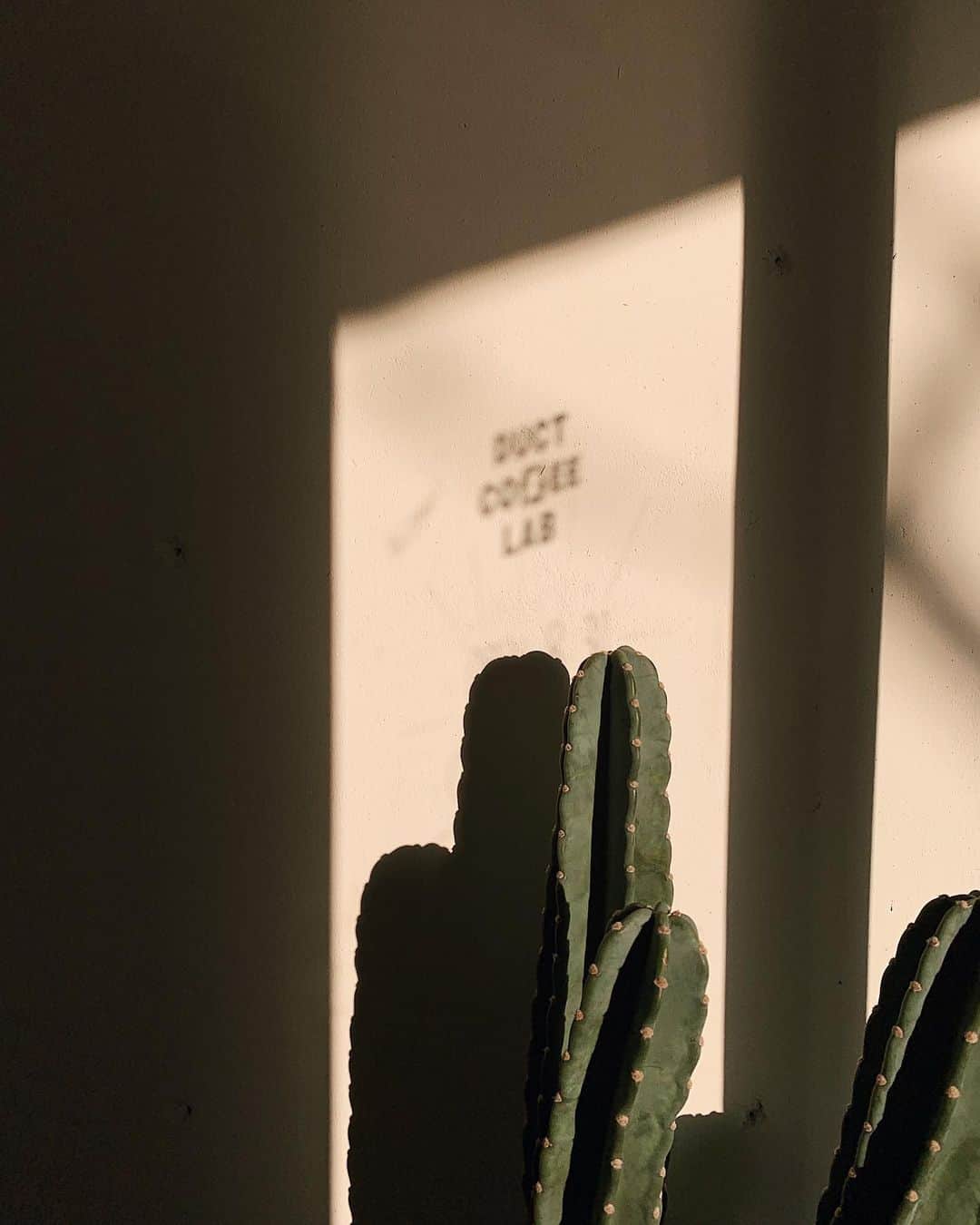 C A F E L O V E Rのグルメインスタ