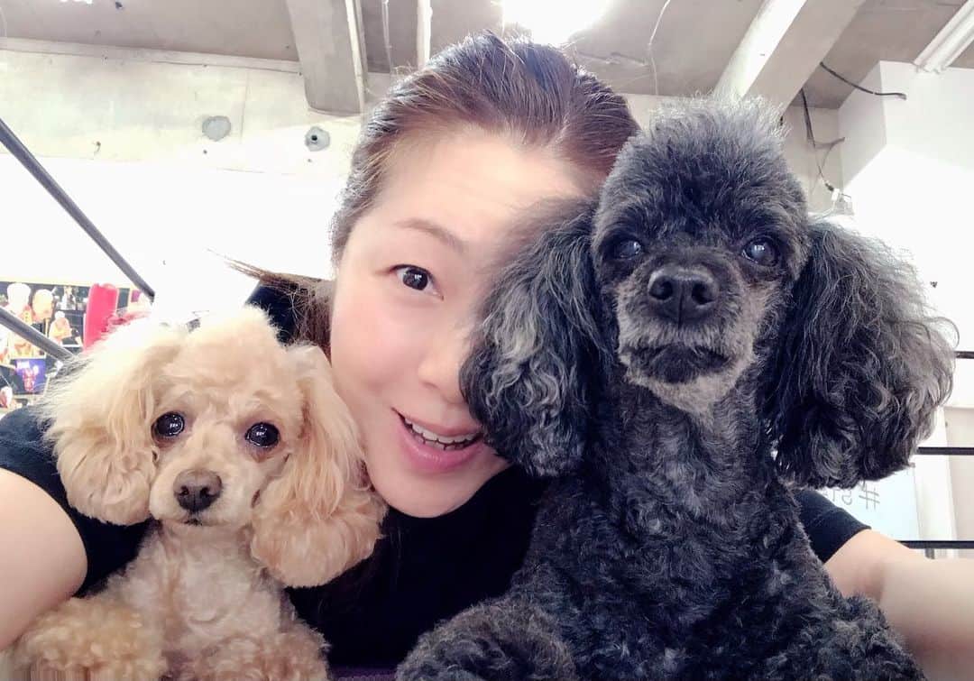 井上貴子のインスタグラム：「道場にて^ ^  2人は仲良く ひなたぼっこなどをして トレーニング終わるのを 待ってくれてる^ ^  さて 重い腰を持ち上げて 走るぞ^ ^  Happyで^ ^  医療従事者の皆様 医療に携わる全ての皆様 介護施設 配送業者 スーパーの皆様 ゴミ回収業の方々  コロナ問題に携わる皆様 自粛して下さってる皆様。  ありがとうございます。  感謝^ ^  #井上貴子  #LLPWX #女子プロレス #紅緒と柊音 #トイプードル部　 #LLPWX道場 #ランニング #イチナナ配信明日12日20時 #おうちですごそう #STOPCOVID19 #stayhome」