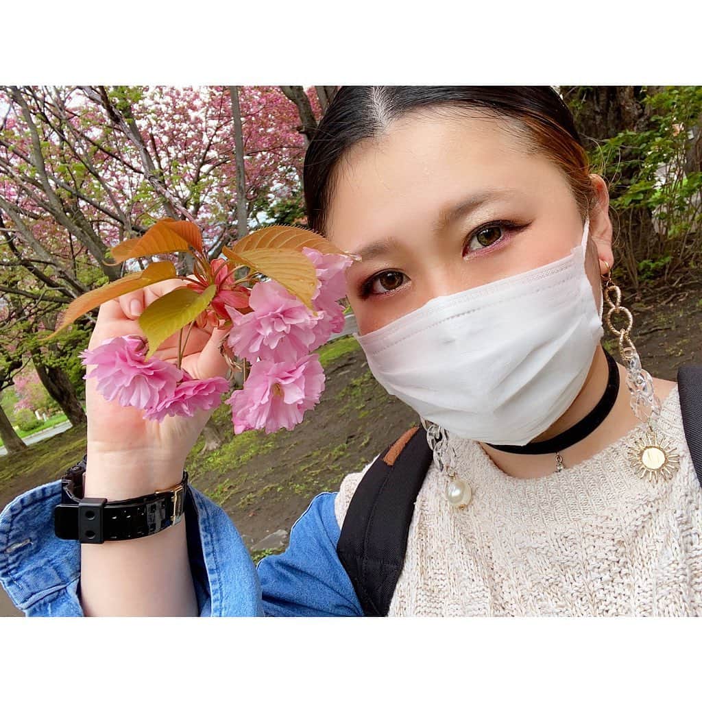 林唯衣さんのインスタグラム写真 - (林唯衣Instagram)「八重桜見ると桜餅食べたくなるのはワタシだけかしら〜〜〜〜〜〜😂🌸🐷　#札幌は八重桜咲き始めました」5月11日 16時58分 - yui__hayashi