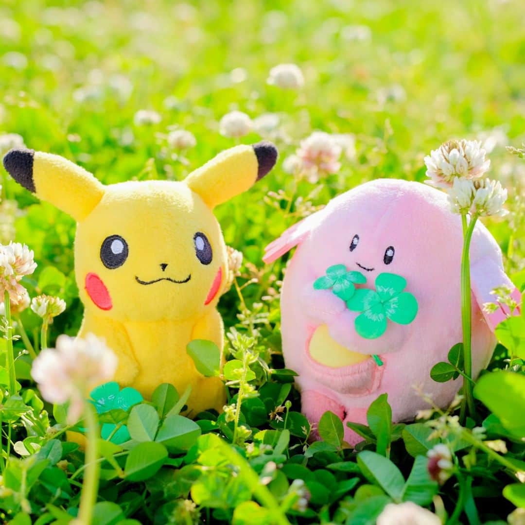 ピカチュウ公式Instagramさんのインスタグラム写真 - (ピカチュウ公式InstagramInstagram)「【今日のピカチュウ】 ピカチュウたちは四つ葉のクローバーを発見🍀 ラッキーなことが起こりそうな予感😊💓 #pikachu #chansey #pokemon #pikachu_snap #photooftheday #Clover #fortune #lucky #ピカチュウ #ラッキー #ポケモン  #四つ葉のクローバー」5月11日 18時00分 - pokemon_jpn