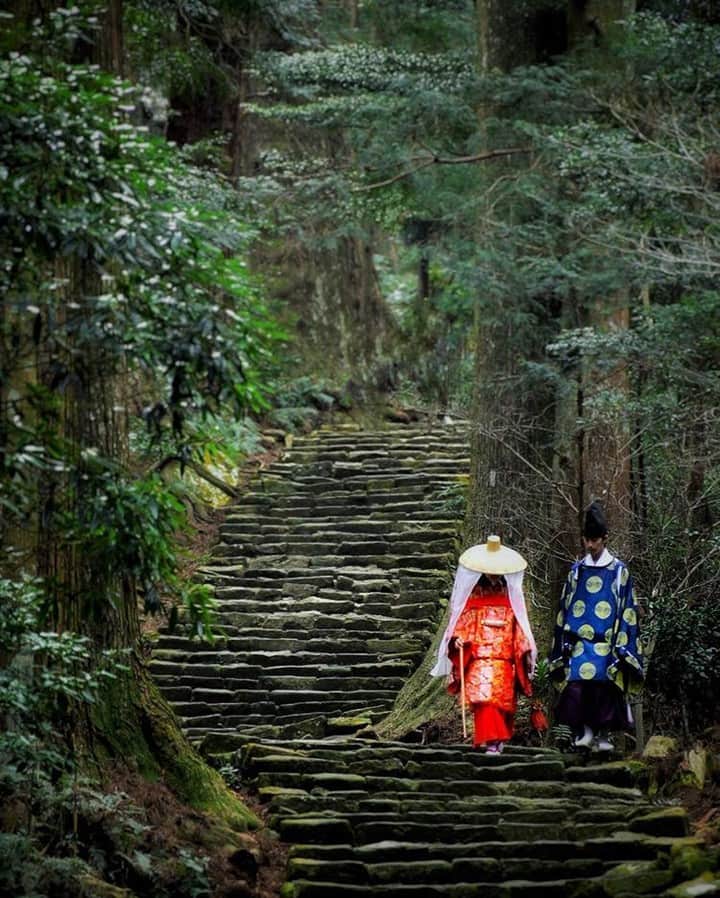 Visit Wakayamaさんのインスタグラム写真 - (Visit WakayamaInstagram)「.⠀ The enchanted Kumano Kodo Pilgrimage trails are patiently waiting for your visit. ⠀ #wakayamavisitsyou #stayhome #staysafe #staypositive⠀ 📸: @soma_ota885」5月11日 19時00分 - visitwakayama