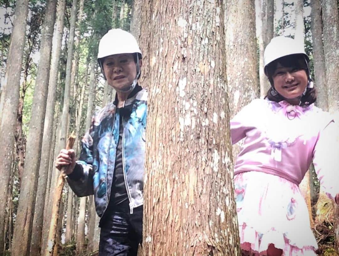 美川憲一さんのインスタグラム写真 - (美川憲一Instagram)「いつかの 奈良の吉野へロケに行った時の写真よ 山をお持ちになられてる方の民家へお邪魔してきたわよ。その方の山へ 連れて行っていただき 色々な杉を見せていただきました。 樹齢200年の杉などがあって 凄かったわよ〜  貴重な経験でしょ。 お参りにも行けて、 ほんとにいい旅ができました。  また必ず遊びにいくわよ〜  こちらのロケの様子は 5/15 （金）15:33〜 NHKさんで見れるわよ（全国）  見るのよ〜  #ええとこ#奈良#吉野#吉野杉#はるな愛#美川憲一」5月11日 18時54分 - kenichimikawa_official